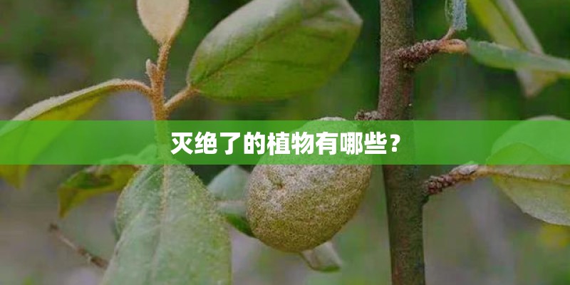 灭绝了的植物有哪些？