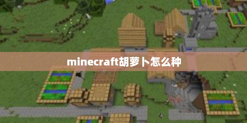 关于年月日有关知识手抄报