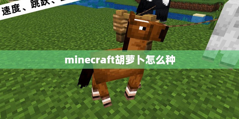 minecraft胡萝卜怎么种 minecraft胡萝卜怎么种