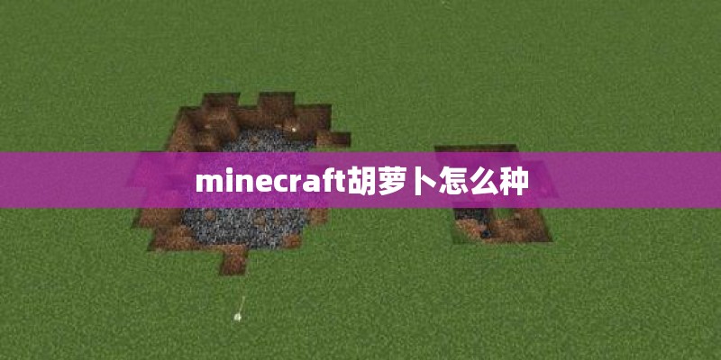 minecraft胡萝卜怎么种 minecraft胡萝卜怎么种