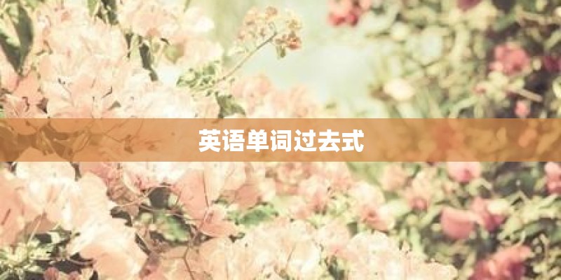 英语单词过去式