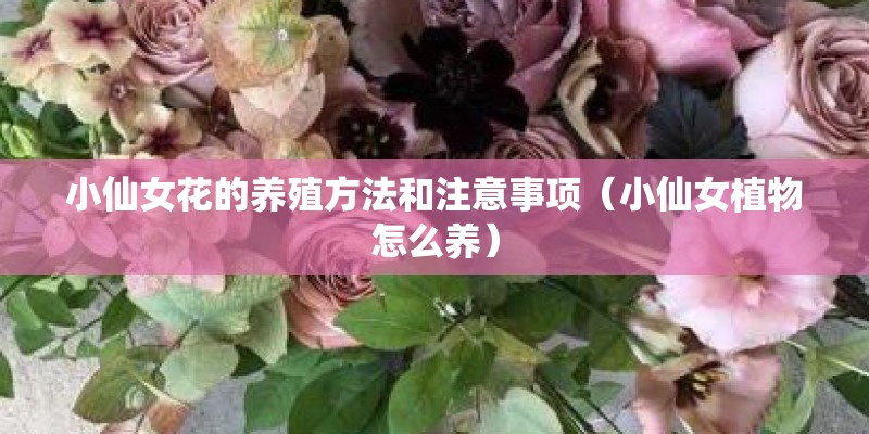 北京通州哪里卖五菱宏光s