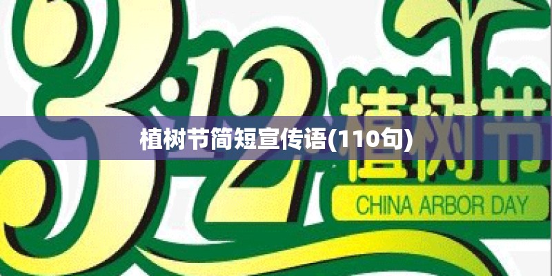 如何养殖石金钱种龟？