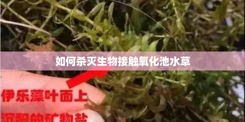 loft做双钥匙的弊端是什么