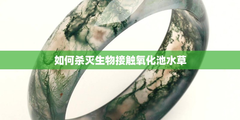 如何杀灭生物接触氧化池水草