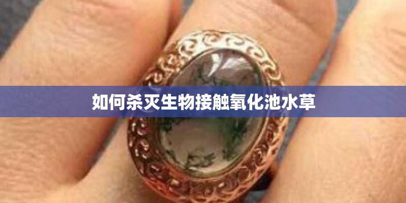 如何杀灭生物接触氧化池水草