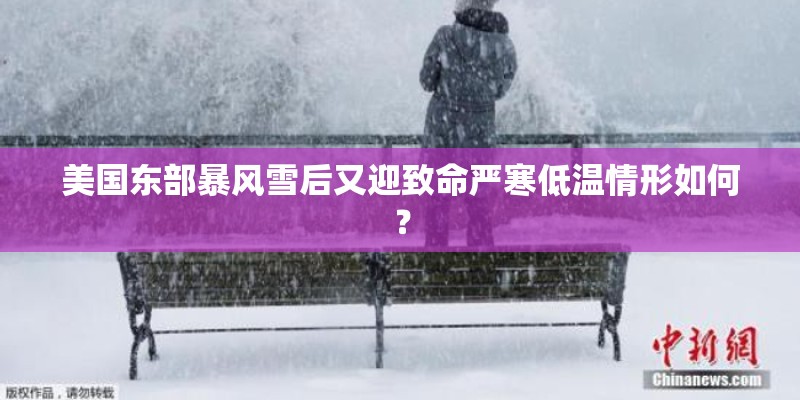 美国东部暴风雪后又迎致命严寒低温情形如何？