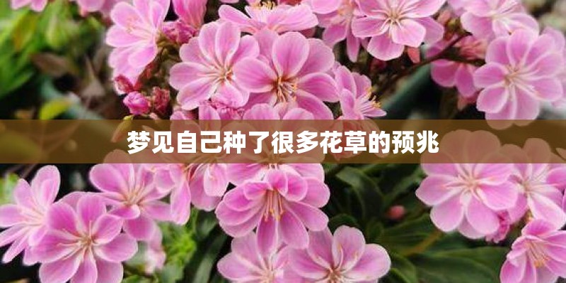 梦见自己种了很多花草的预兆