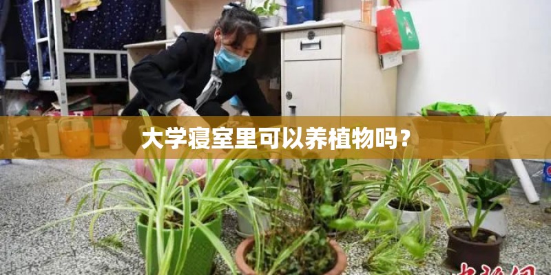常熟理工学院综合实力展示：来看它是否值得一读！