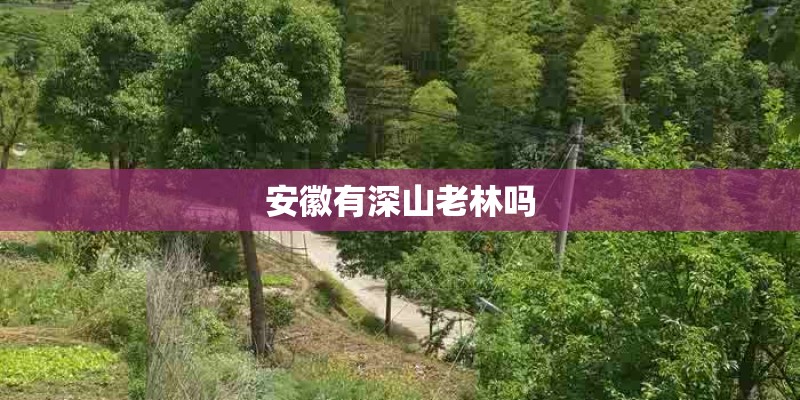 郑州印刷厂都有哪些详细的