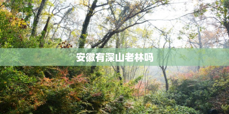 安徽有深山老林吗