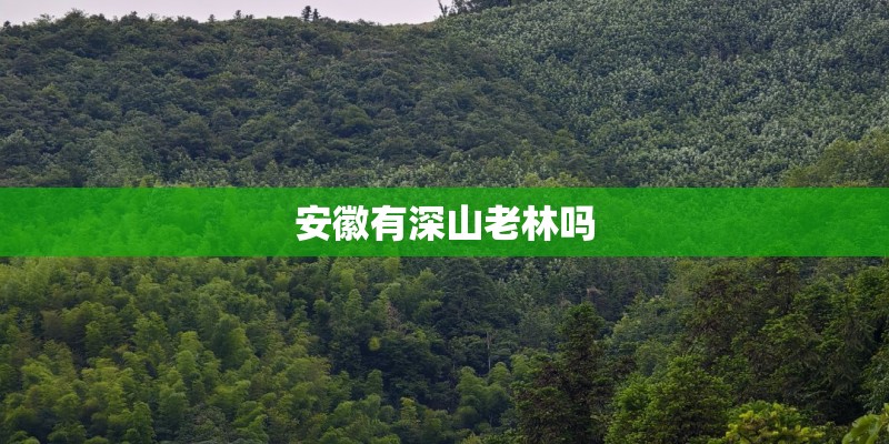 安徽有深山老林吗