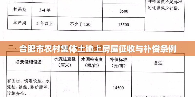 合肥市农村集体土地上房屋征收与补偿条例 合肥市农村集体土地上房屋征收与补偿条例