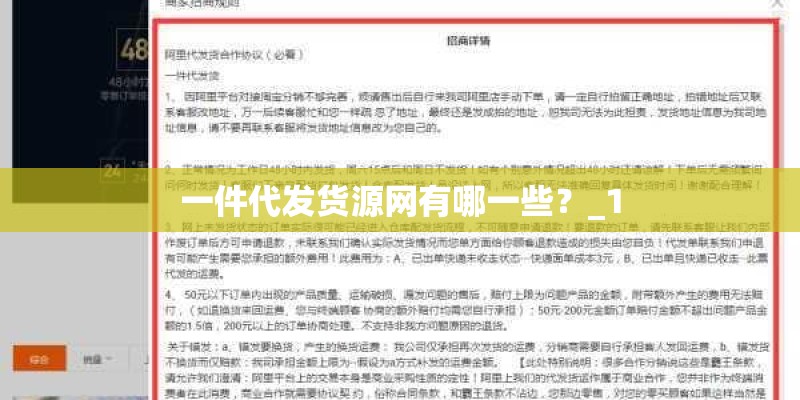 一件代发货源网有哪一些？_1