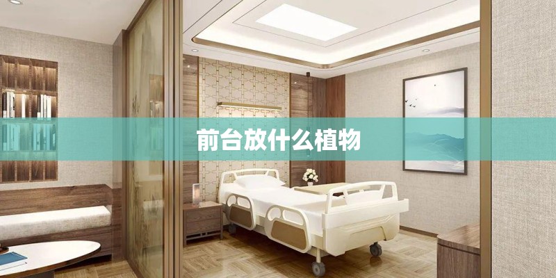 前台放什么植物 前台放什么植物