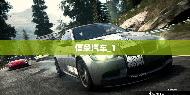 信条汽车_1