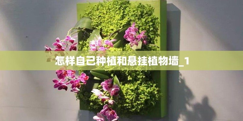 怎样自己种植和悬挂植物墙_1 怎样自己种植和悬挂植物墙_1