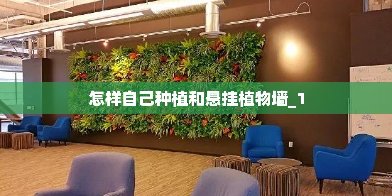 怎样自己种植和悬挂植物墙_1 怎样自己种植和悬挂植物墙_1