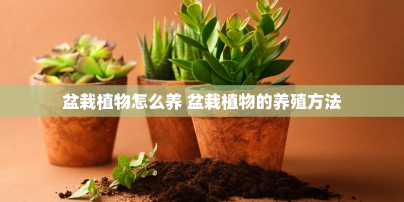 北京京能建设集团有限公司电话是多少？