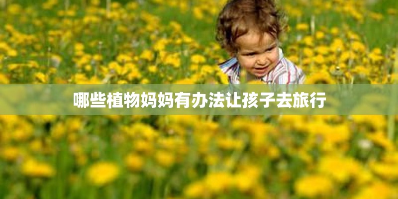 哪些植物妈妈有办法让孩子去旅行