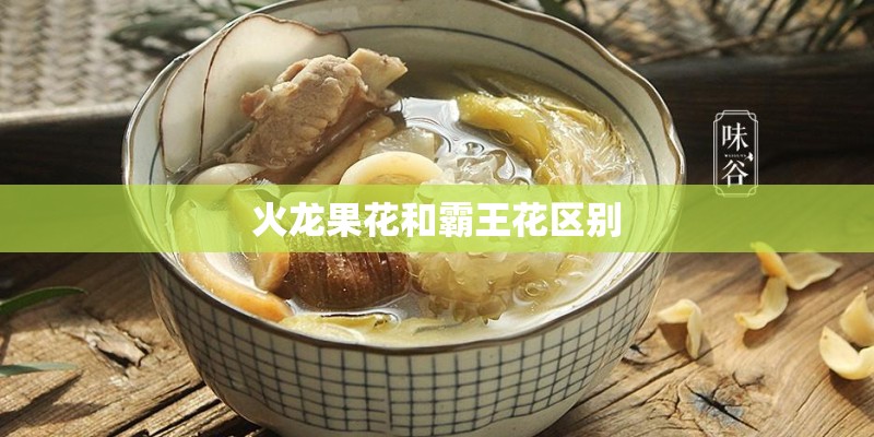 火龙果花和霸王花区别