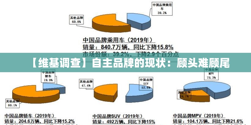 【维基调查】自主品牌的现状：顾头难顾尾