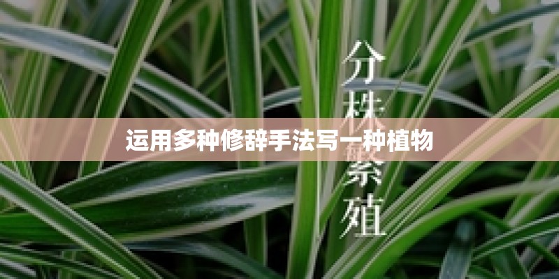 七座宝骏730价格表新车多少钱