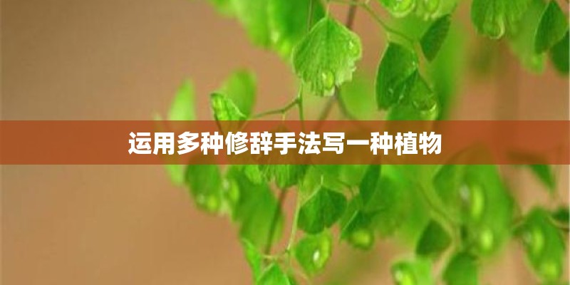 运用多种修辞手法写一种植物