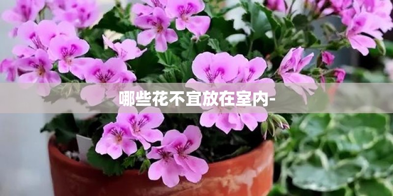 奔驰最新款a200l上市了