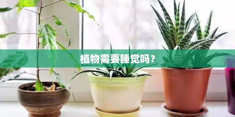 别克君威的价格