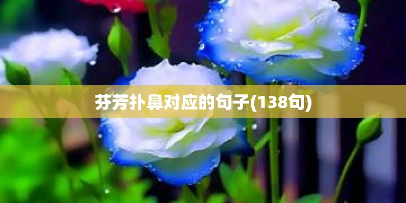 芬芳扑鼻对应的句子(138句)