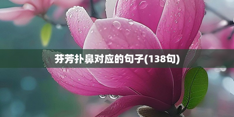芬芳扑鼻对应的句子(138句)