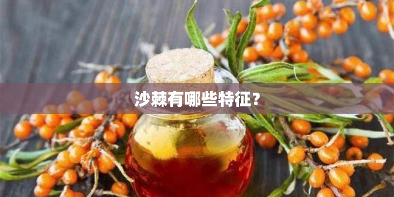 如何找到奶粉供应商