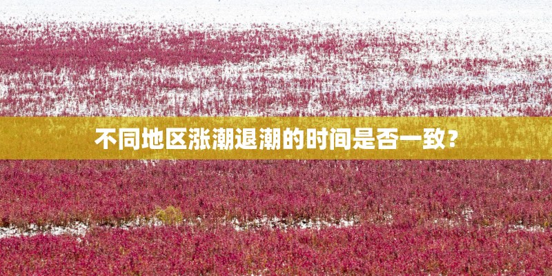 不同地区涨潮退潮的时间是否一致？