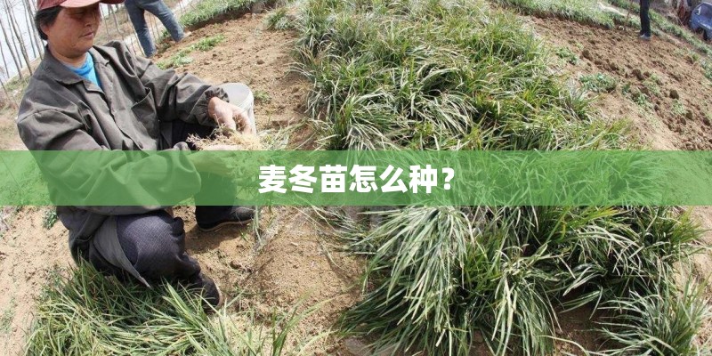 东风风度mx6最低价