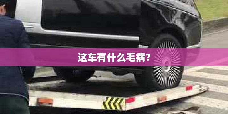 这车有什么毛病? 这车有什么毛病?