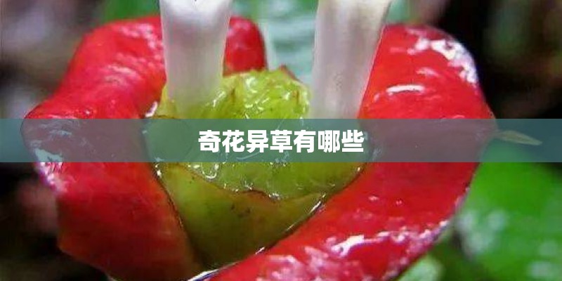 记3分交完罚款就恢复吗