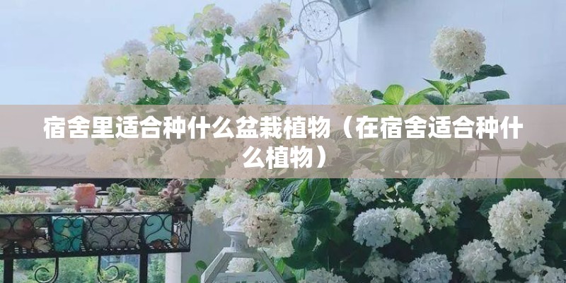刘德华所有的歌