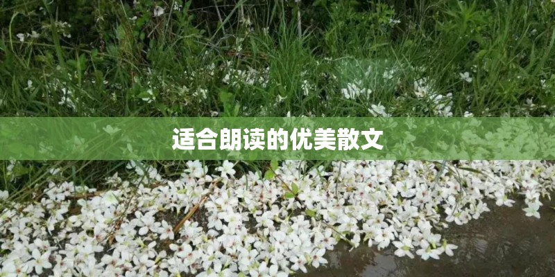 北海未来十天气温怎样？