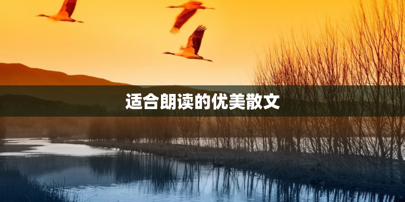 适合朗读的优美散文