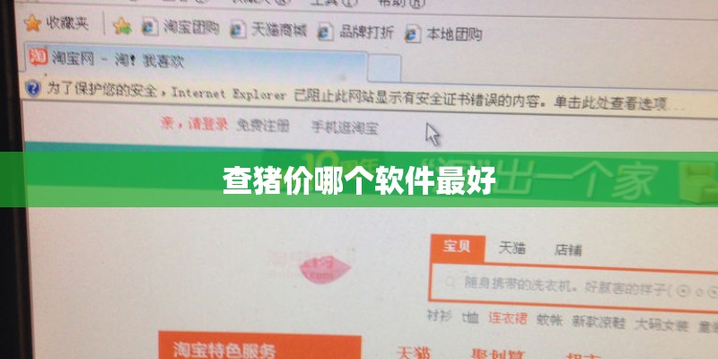 查猪价哪个软件最好