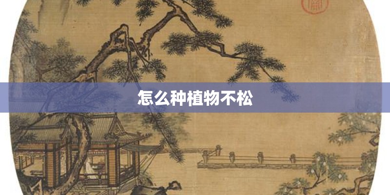怎么种植物不松 怎么种植物不松