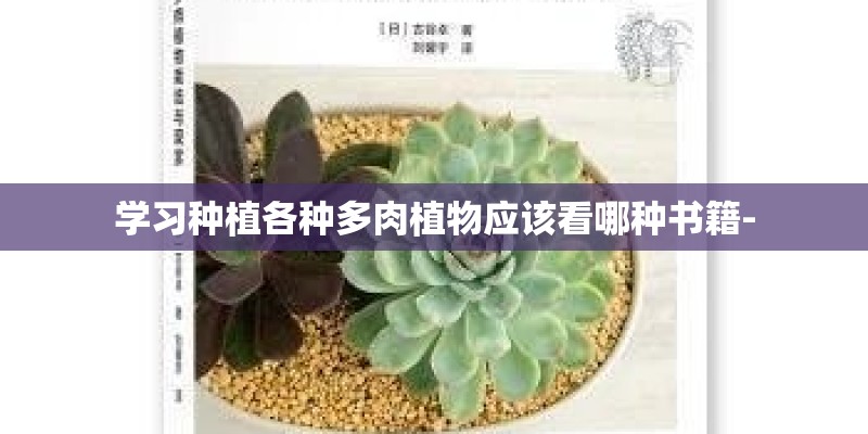 学习种植各种多肉植物应该看哪种书籍-