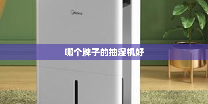 新闻联播内容有哪些-