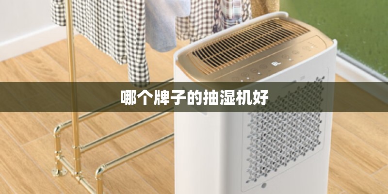 哪个牌子的抽湿机好