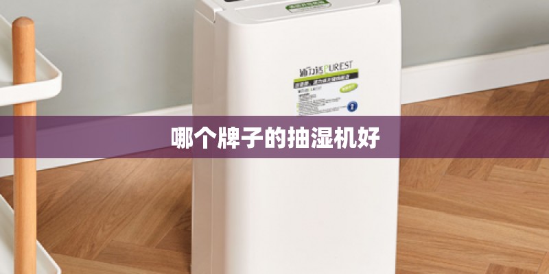 哪个牌子的抽湿机好