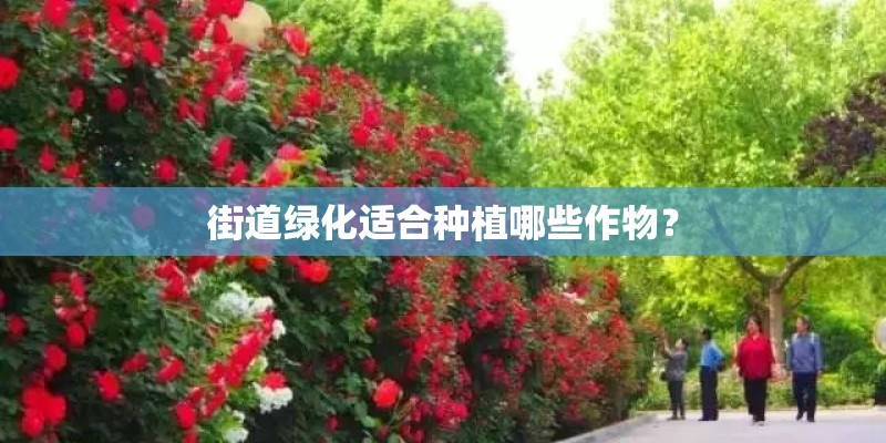 学习种植各种多肉植物应该看哪种书籍-