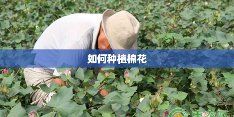 北海未来十天气温怎样？