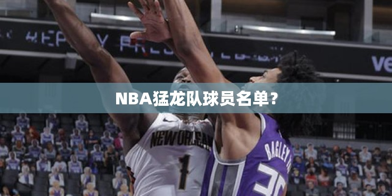 NBA猛龙队球员名单？