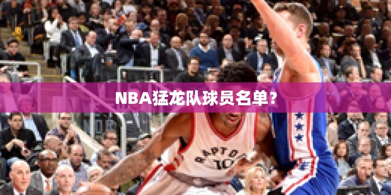 NBA猛龙队球员名单？